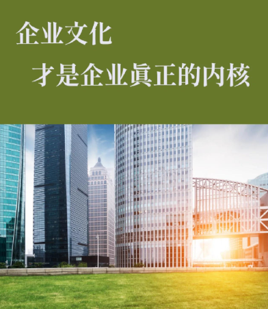 上海稳一彦小程序开发与网站建设服务选型对比指南